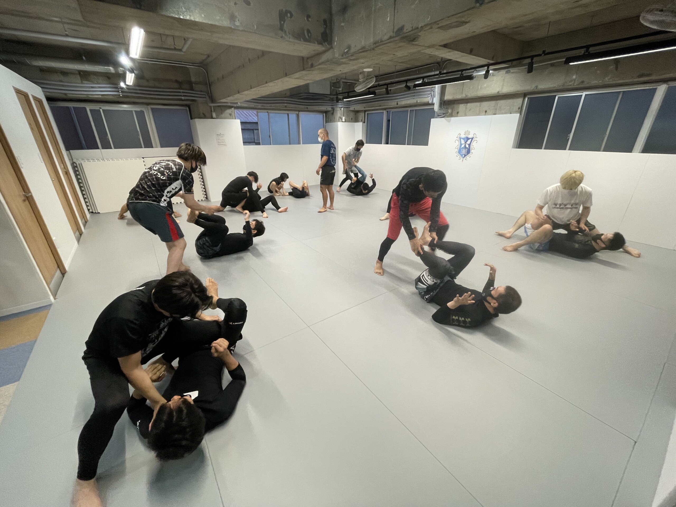 CAVE BJJ　嶋田裕太　特別クラス