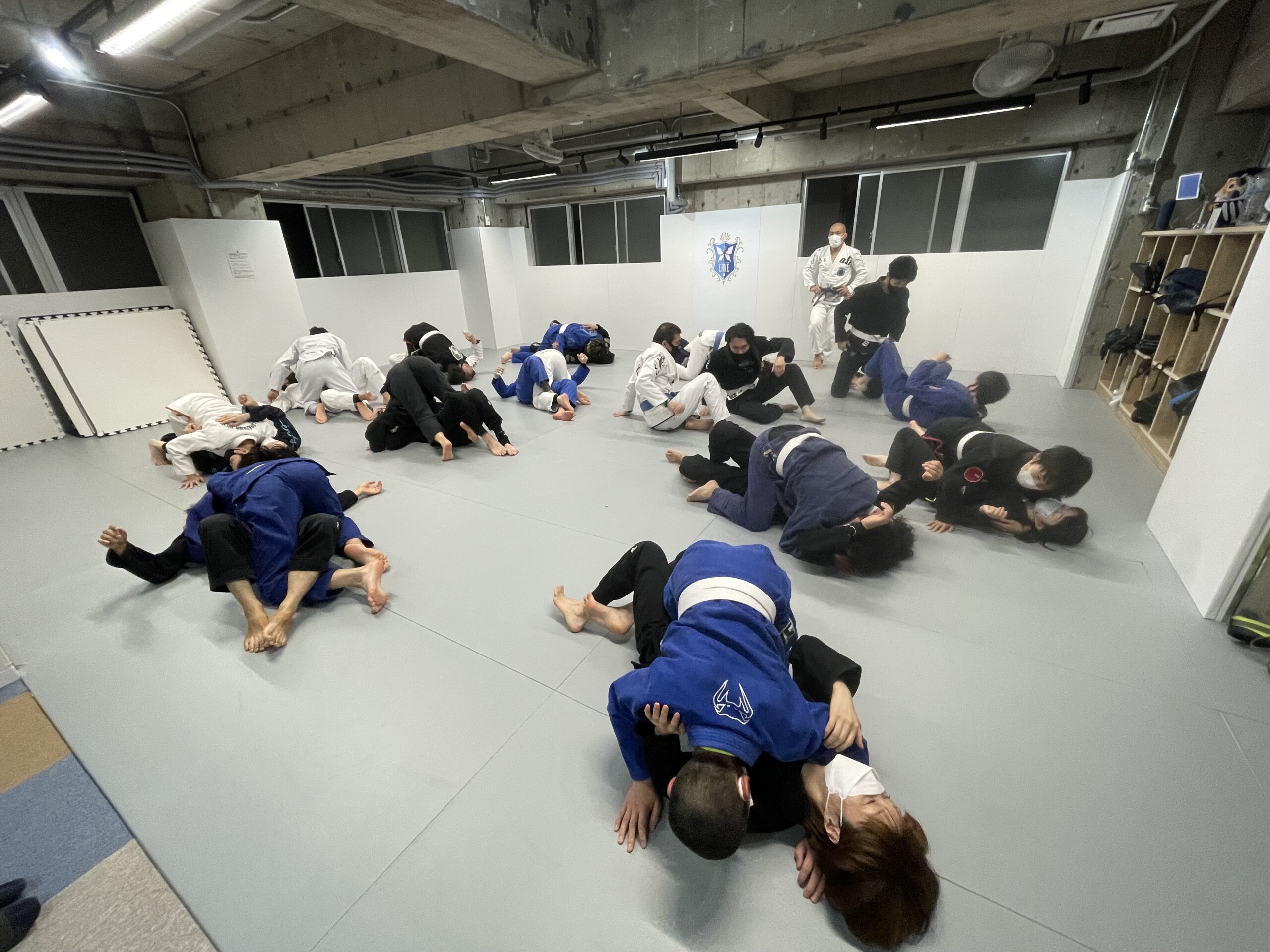 CAVE BJJ　嶋田裕太　特別クラス