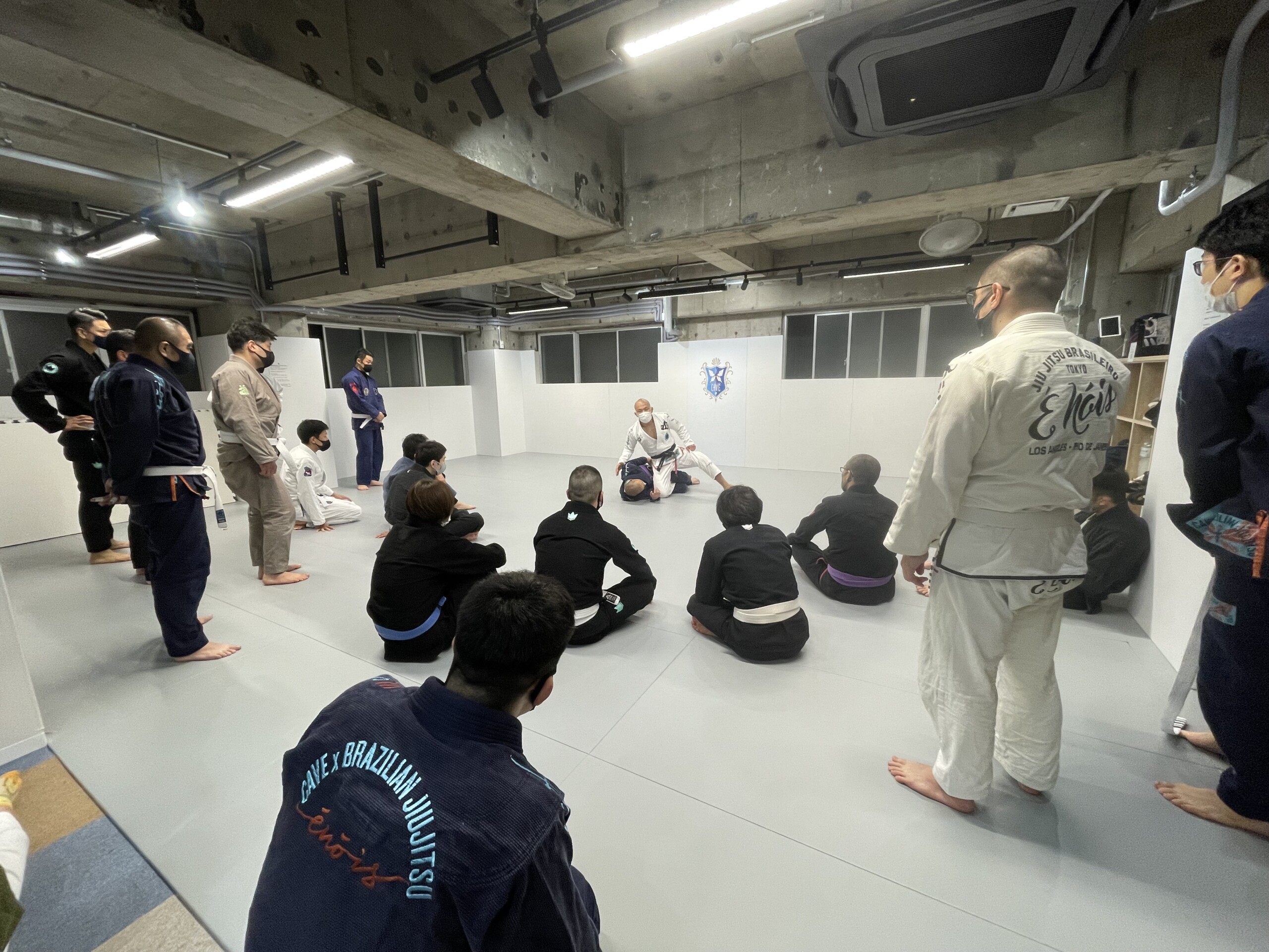 CAVE BJJ 嶋田裕太 柔術 セミナー