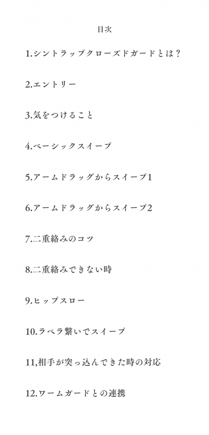 シントラップクローズドガード　目次