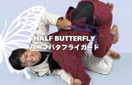 教則：ハーフバタフライガード