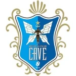 CAVE BJJ　ブラジリアン柔術ジム